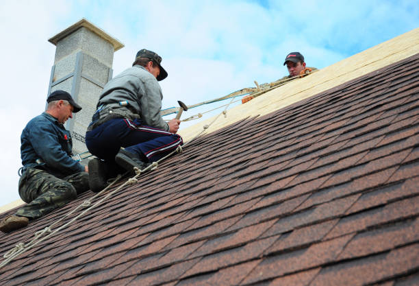Best Emergency Roof Repair  in Walker, MI