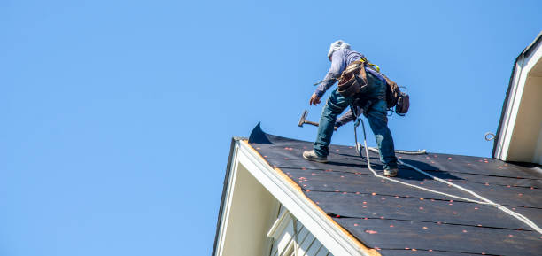 Best Roof Restoration Services  in Walker, MI